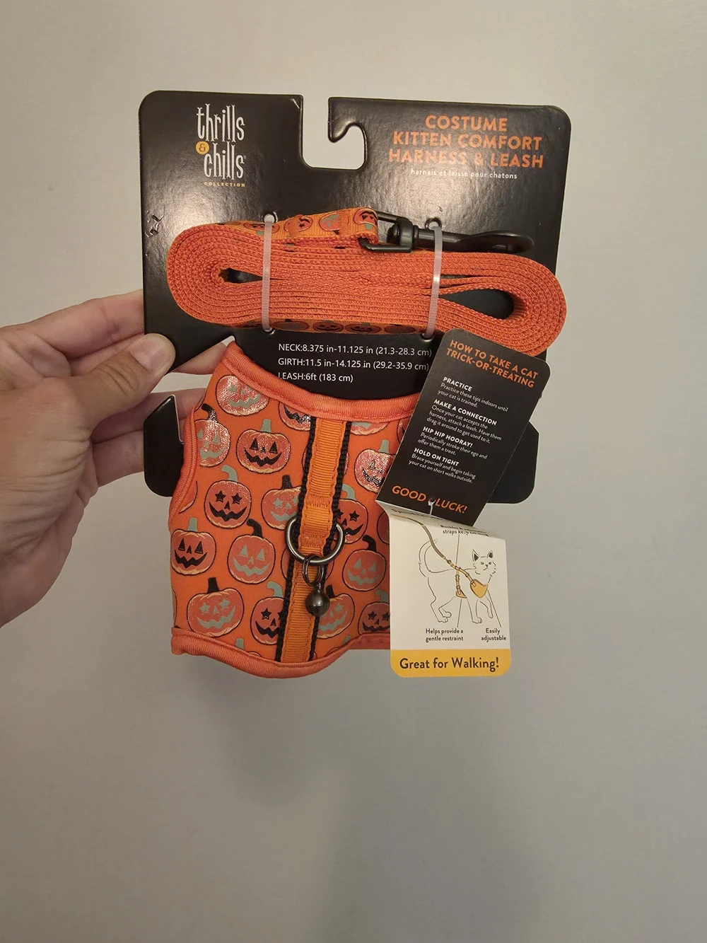 Thrills Orange Pumpkin Kitten Comfort Harness & Leash Set